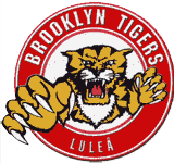 Brooklyn Tigers UHF Logo